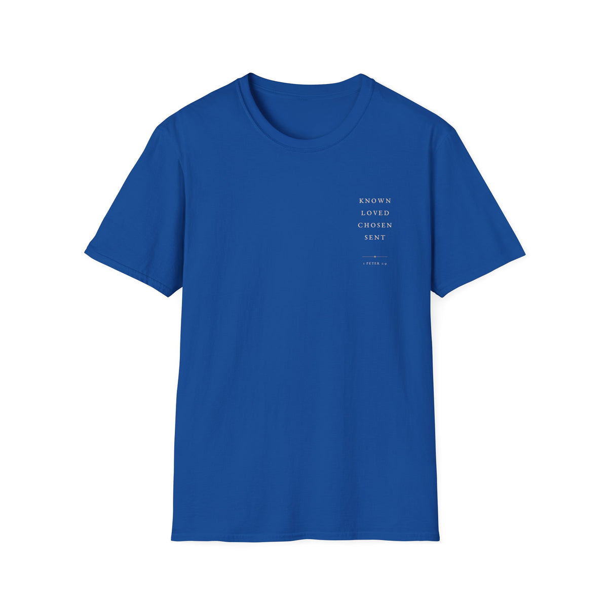 1 Peter 2:9 Christian T-Shirt — World Outline Faith Tee
