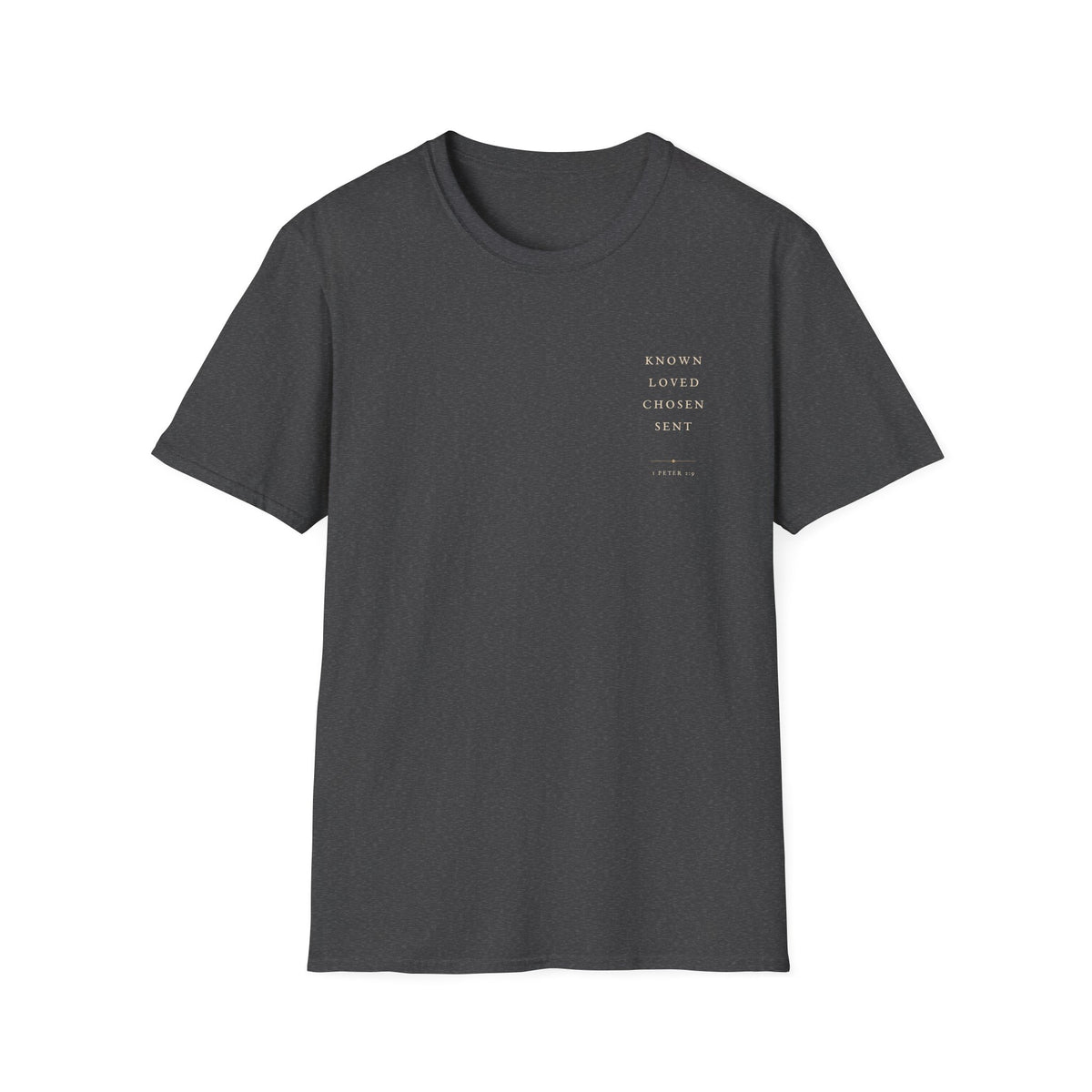1 Peter 2:9 Christian T-Shirt — World Outline Faith Tee